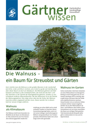 Gärtner wissen: Die Walnuss (Quelle: Bayerischer Landesverband)
