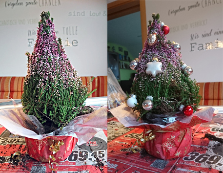 Anleitung Christbaum Erika Schritt 3 (Foto: Iris Müller)