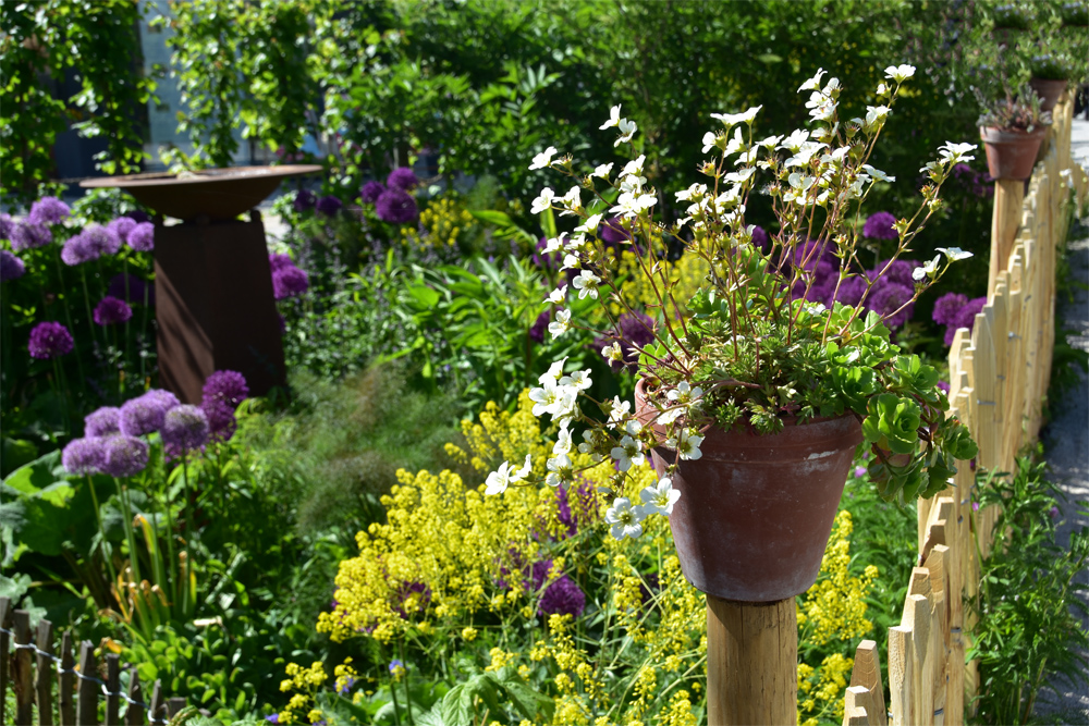 Gartenpfleger-Fortbildung Seminar 